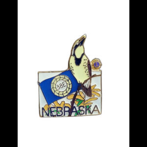 VTG Bird Flag Flower Pin Badge Brooch Nebraska Lions Club Enamel Birder 38E